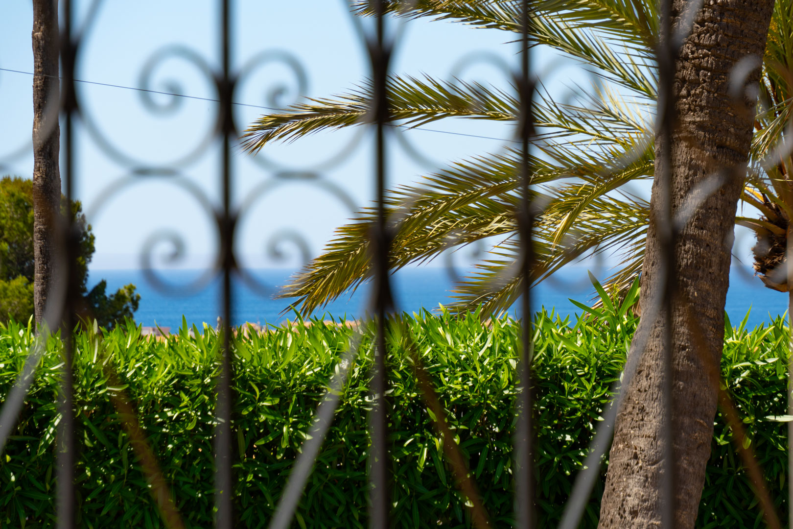 Sea view through wrought iron, framed by palm tree and green hedge.