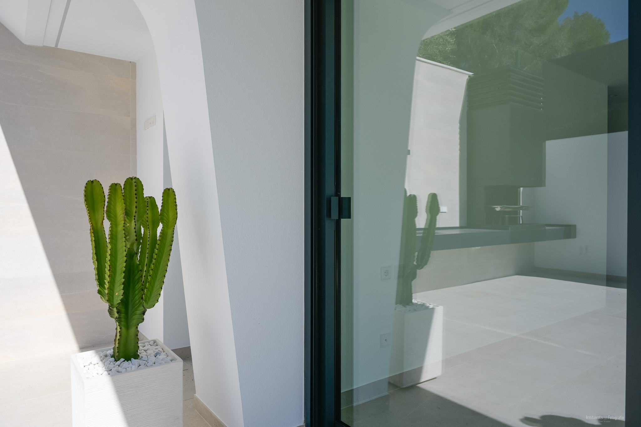 A vibrant cactus in a white planter stands by a dark-framed sliding glass door, reflecting an outdoor kitchen area and blue sky with lush trees.