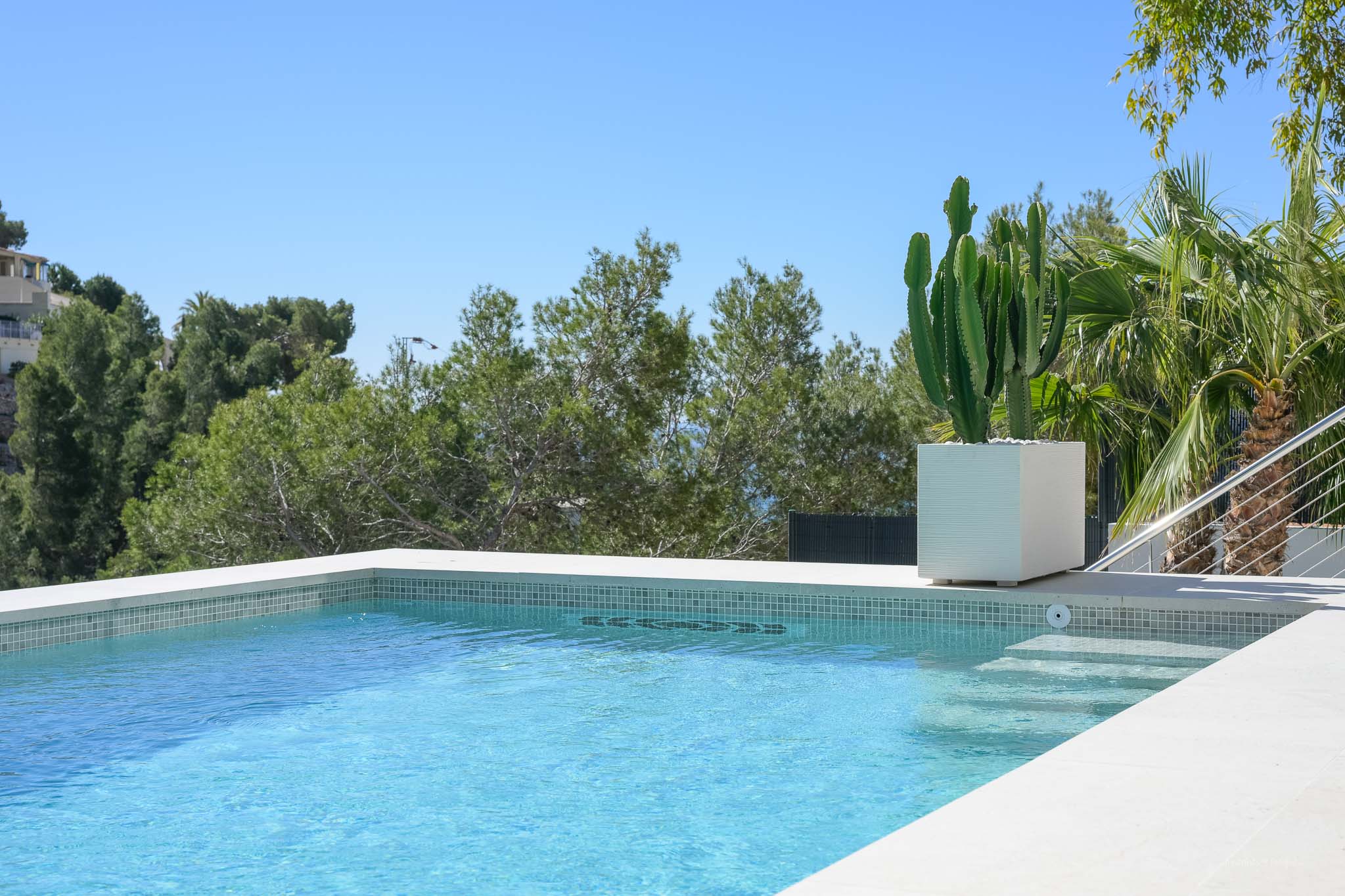 Light blue mosaic swimming pool featuring a large potted cactus, framed by lush Mediterranean greenery under a clear sky.