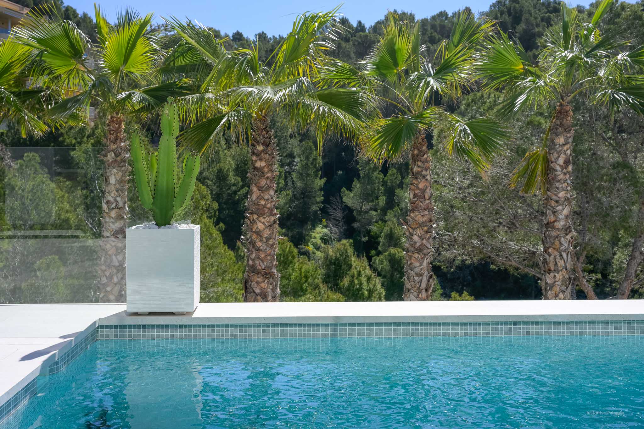 The turquoise mosaic pool blends with the white edge, featuring a potted cactus and palm trees against a dense Mediterranean forest backdrop.