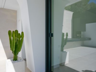 A vibrant cactus in a white planter stands by a dark-framed sliding glass door, reflecting an outdoor kitchen area and blue sky with lush trees.