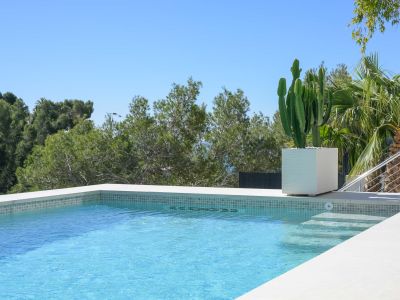 Light blue mosaic swimming pool featuring a large potted cactus, framed by lush Mediterranean greenery under a clear sky.