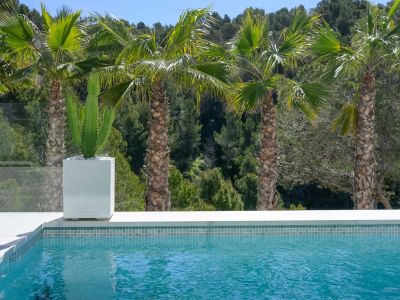The turquoise mosaic pool blends with the white edge, featuring a potted cactus and palm trees against a dense Mediterranean forest backdrop.