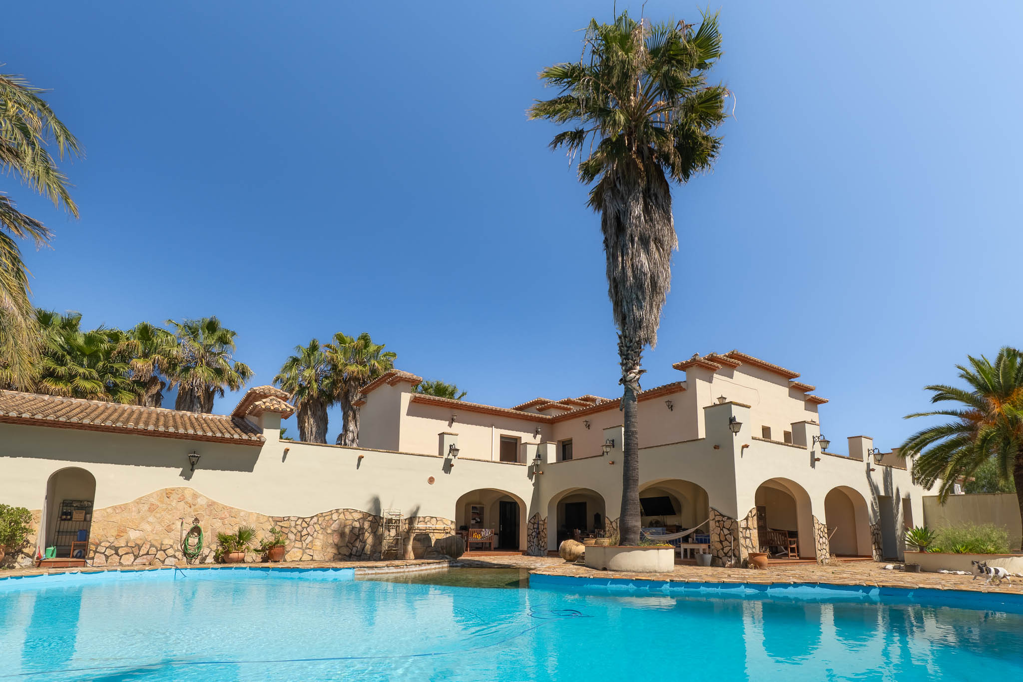 Expansive private swimming pool with clear water, set against a Mediterranean-style villa featuring arched verandas and tall palm trees.