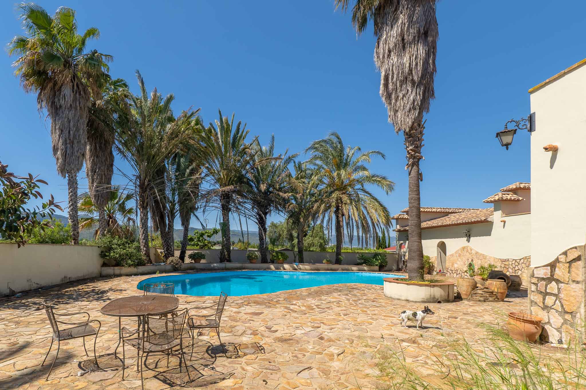 Free-form swimming pool with bright blue water, surrounded by palm trees and a flagstone patio. Wrought-iron furniture and a section of the villa's facade are visible.