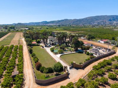 Aerial view of the estate featuring the main house, extensive palm-lined gardens with a pond, surrounded by vast orange groves and distant mountains.