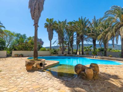 Freeform private swimming pool with flagstone patio, surrounded by mature palm trees and decorative terracotta elements, under a clear blue sky.
