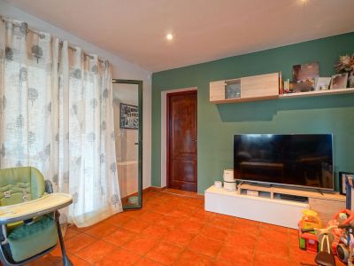 Living area featuring terracotta tiled floor, a green accent wall, and a TV on a modern console with floating shelves. A large window is dressed with white tree-patterned curtains.