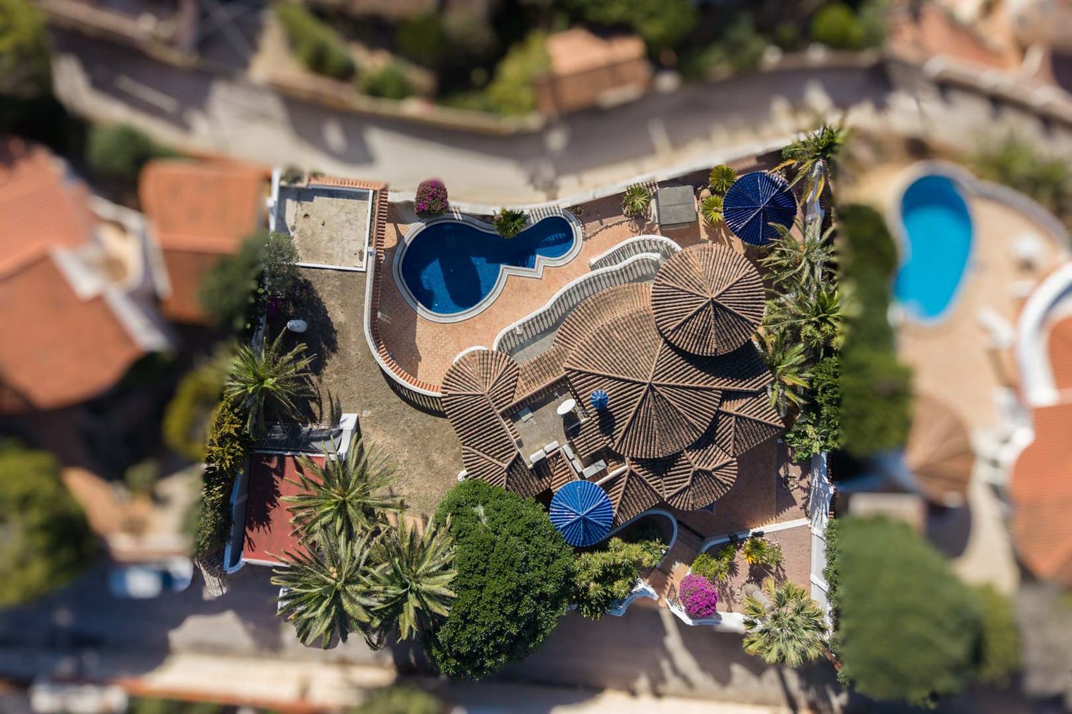 Aerial view of the villa showcasing its tiered terracotta tiled roofs, an irregular-shaped private pool, and a terracotta patio. Surrounded by palm trees and Mediterranean foliage.