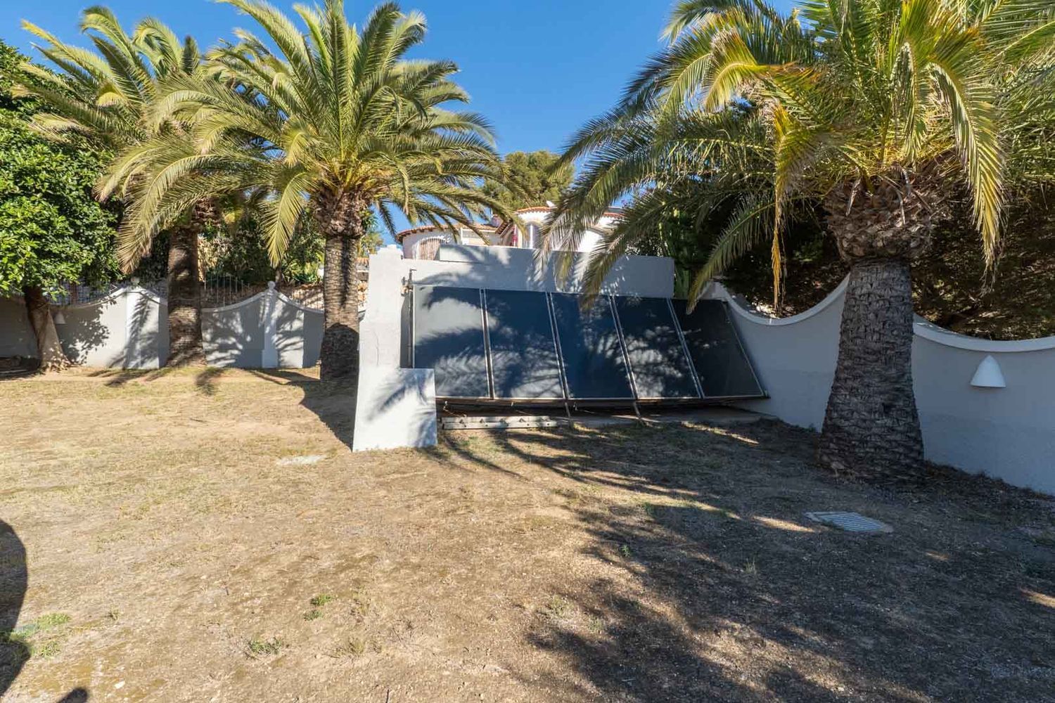 Solar thermal panels installed on a white wall, surrounded by mature palm trees and dry ground under a clear sky.