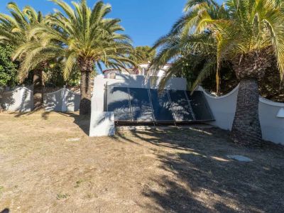 Solar thermal panels installed on a white wall, surrounded by mature palm trees and dry ground under a clear sky.