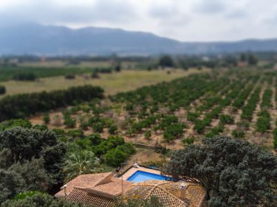 Aerial view of the villa featuring a tiled roof, blue swimming pool, surrounded by Mediterranean trees, with distant orchards and mountains.