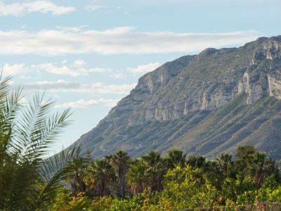 Panoramic views of the majestic Montgó mountain, framed by lush Mediterranean vegetation, palm trees, and an orchard, under a blue sky with clouds.