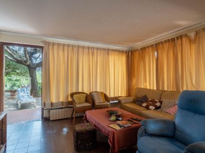Spacious living room featuring tiled floors, a beige leather sofa, and a blue armchair. Direct access to an outdoor patio with a large tree and a sun lounger.