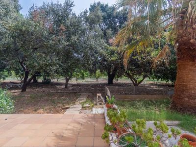 Spacious terracotta-tiled terrace with potted plants, opening to a natural garden featuring a prominent palm tree, mature trees, and a stone slab path.