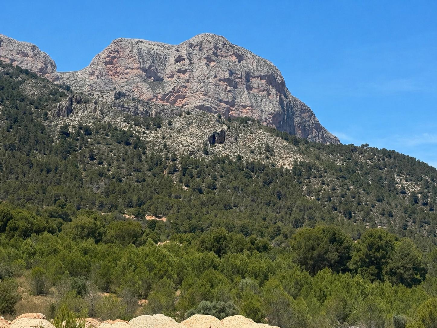 Expansive view of a prominent rocky mountain, densely covered with Mediterranean vegetation and pine trees, set against a bright blue sky.