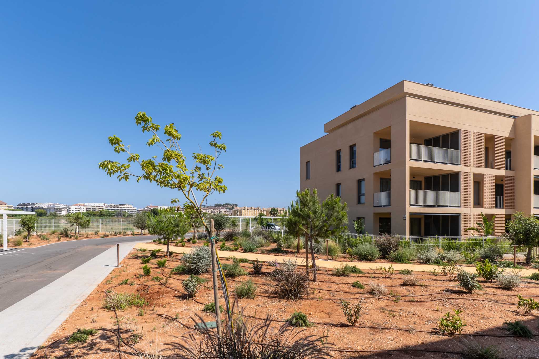 Exterior view of the modern residential building with a sand-colored facade and balconies featuring white railings. Newly planted Mediterranean landscaping borders a paved access road.