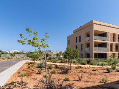 Exterior view of the modern residential building with a sand-colored facade and balconies featuring white railings. Newly planted Mediterranean landscaping borders a paved access road.