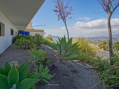 The side garden showcases large agave plants on dark gravel, bordering a white facade with dark-framed windows. It offers panoramic views of the sea and distant mountains.