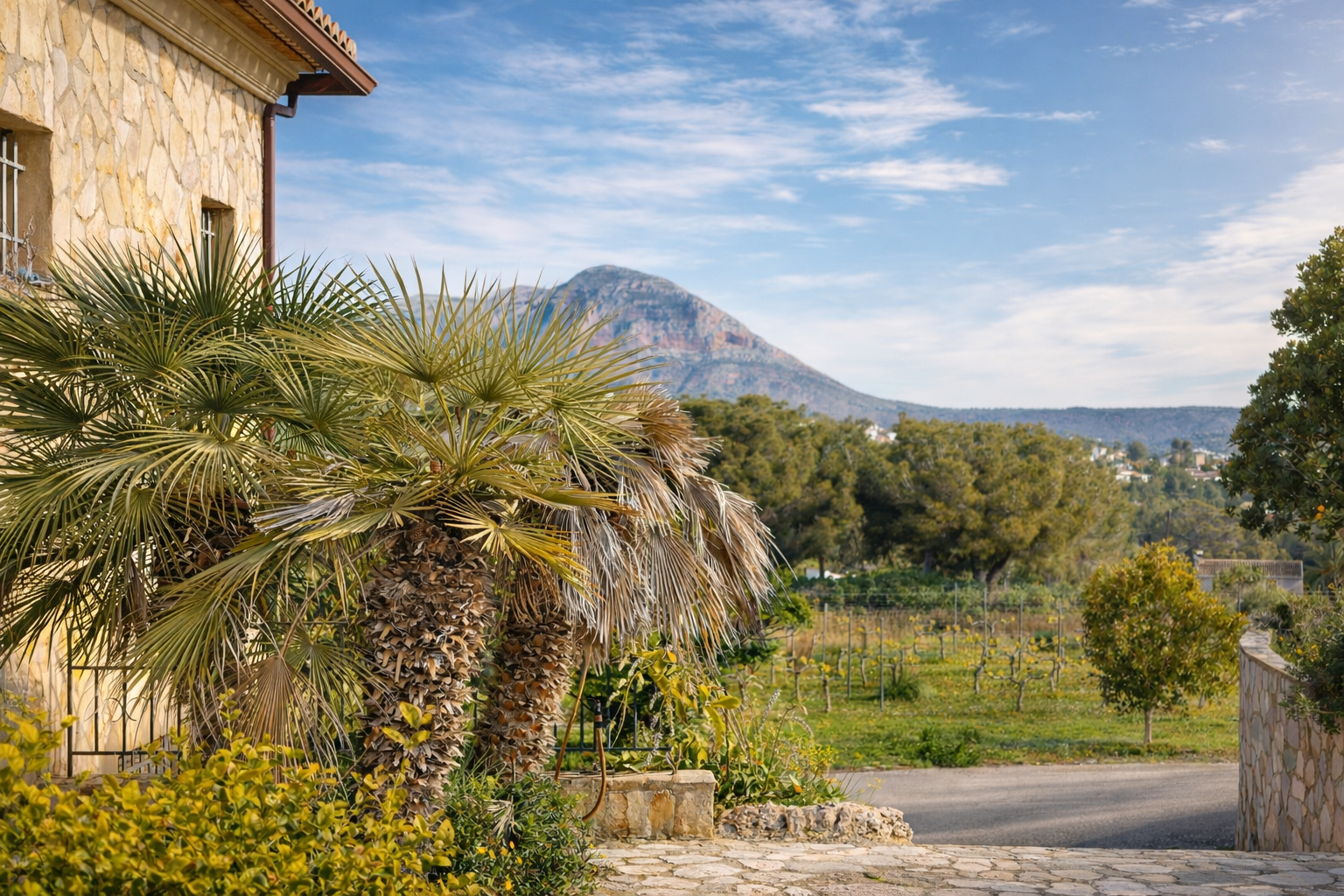 Exterior corner of the property featuring a natural stone facade and palm trees, framing views of the valley's vineyards and the imposing Montgó mountain.