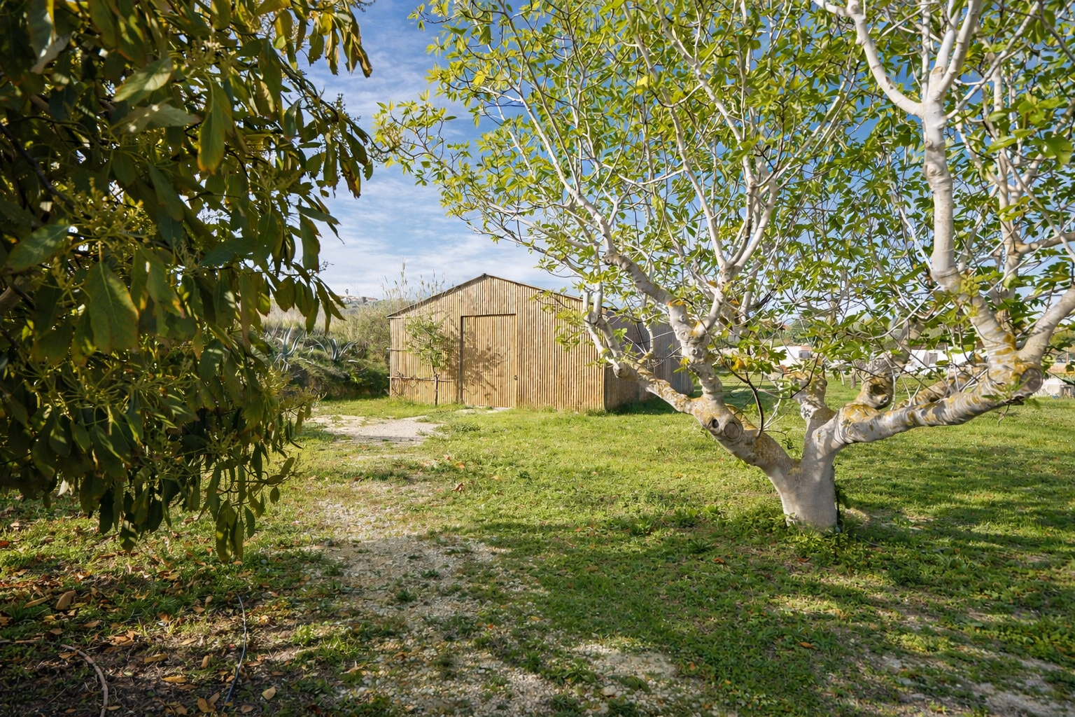 Rustic wooden storage building with a gable roof, set on a grassy plot with a gravel path and mature fruit trees.