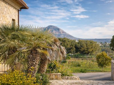 Exterior corner of the property featuring a natural stone facade and palm trees, framing views of the valley's vineyards and the imposing Montgó mountain.