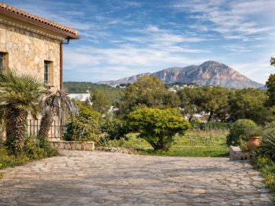 Rustic stone facade of the finca with palm trees, flagstone driveway, and views of Montgó, surrounded by vineyards and Mediterranean vegetation.