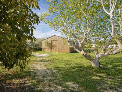 Rustic wooden storage building with a gable roof, set on a grassy plot with a gravel path and mature fruit trees.