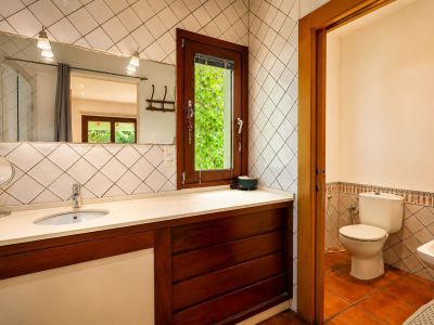 Bathroom vanity featuring a single sink set in a light countertop, dark wooden cabinet, and a large mirror with sconce lighting. A tall window frames lush green foliage outside.