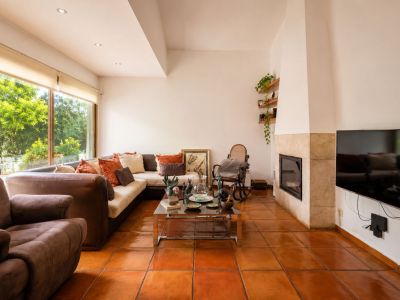Bright living room featuring traditional terracotta floors, a stone-clad fireplace, and large windows overlooking lush greenery.