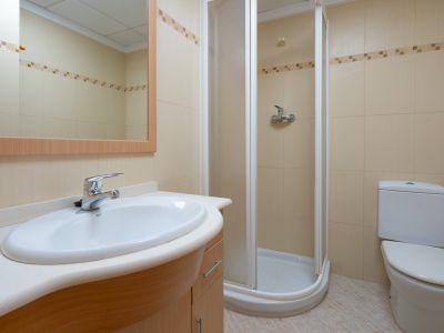 Functional bathroom featuring an oval sink on a light wood vanity, framed mirror, corner shower, and beige tiles with a decorative border.