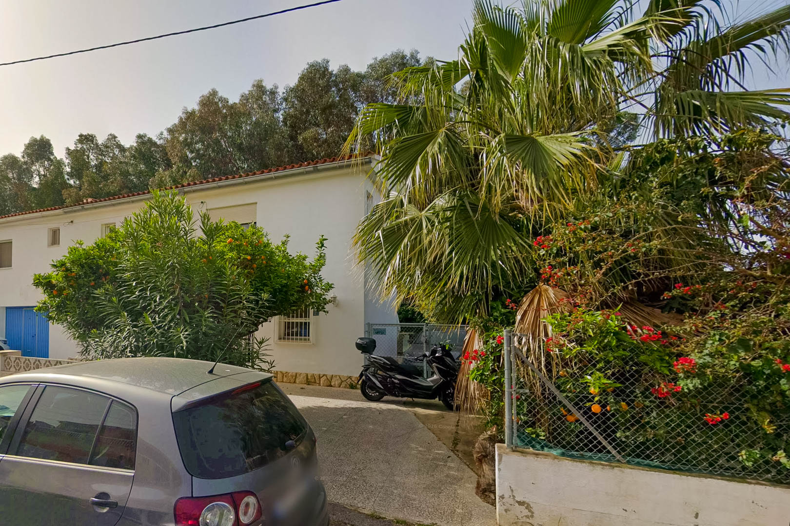 Exterior view of the villa's paved entrance, featuring a fruit-laden orange tree, a palm, and lush Mediterranean vegetation.
