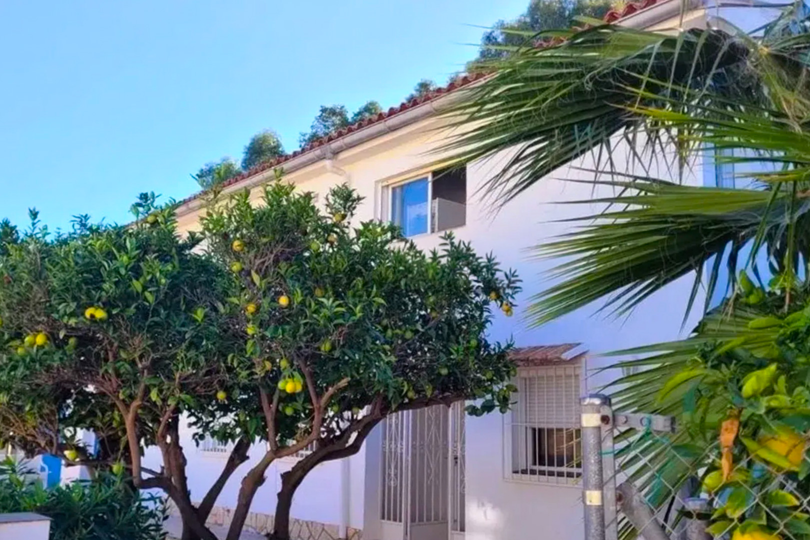 Exterior view of the white villa, featuring a tiled roof and citrus trees bearing yellow fruit. Ground-floor entrance and upper windows are visible.