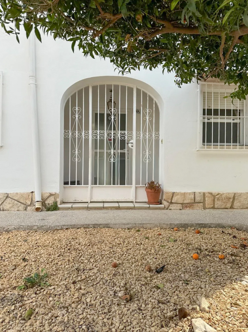 Main entrance featuring a white arched security gate and a window with roller shutter. The gravel garden in front has fallen fruit from an overhead tree.
