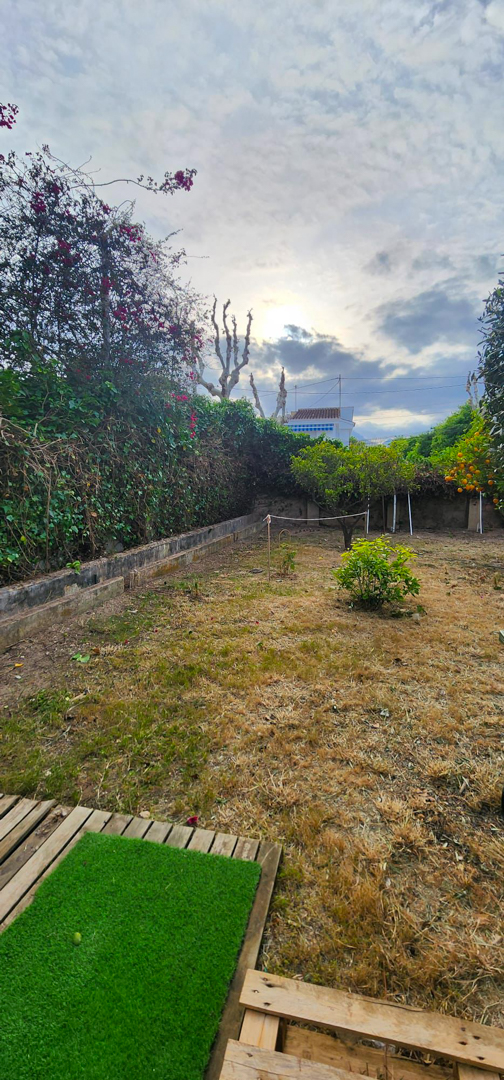 Spacious garden area with mature fruit trees and perimeter hedging. Features a small artificial turf section on wooden pallets, offering potential for outdoor customization.