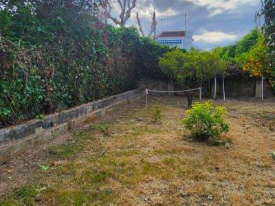 Spacious garden area with mature fruit trees and perimeter hedging. Features a small artificial turf section on wooden pallets, offering potential for outdoor customization.