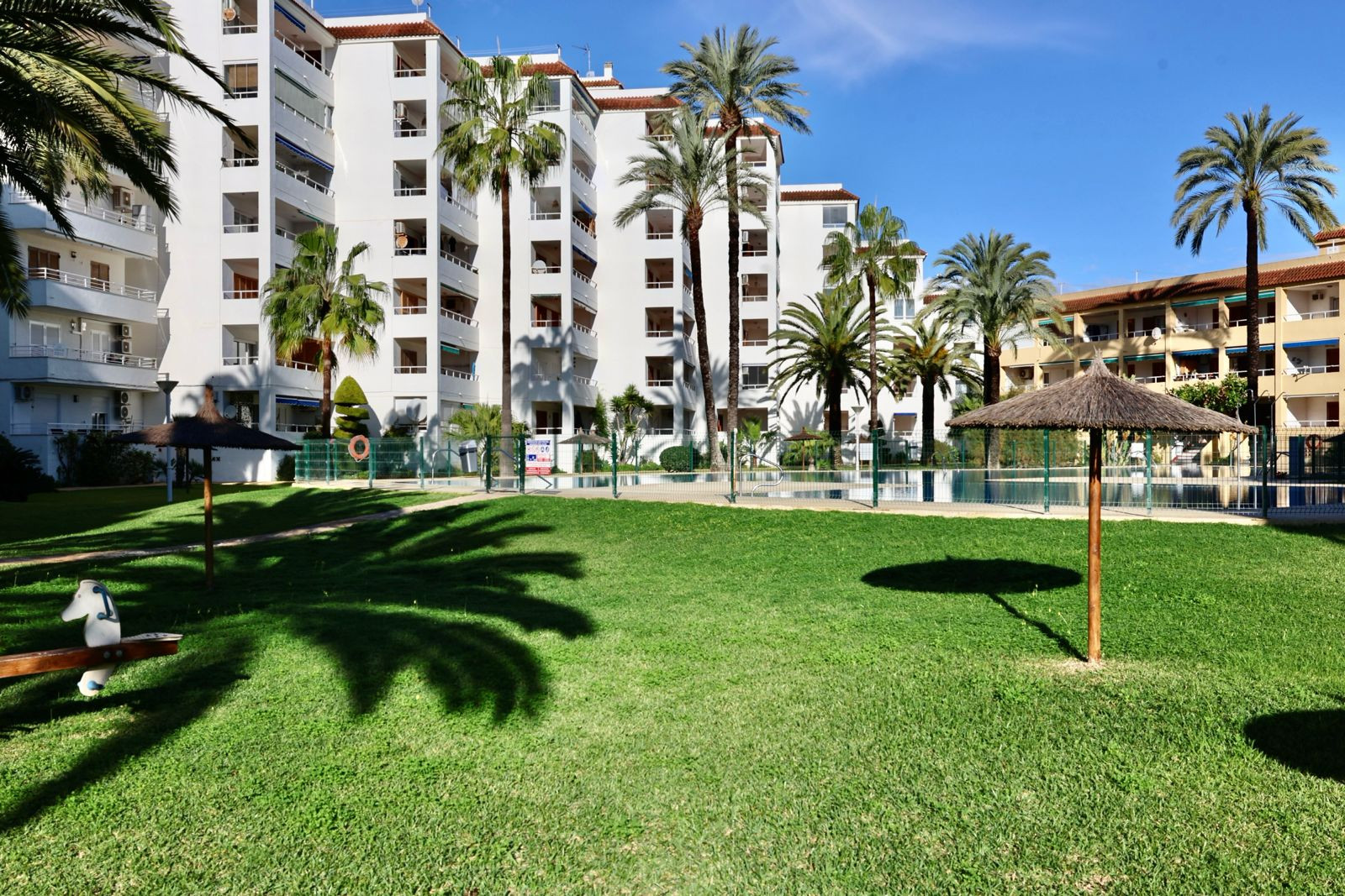 Lush communal garden with green lawn, mature palm trees, and straw parasols. Fenced swimming pool area and multi-story residential buildings with balconies in the background.