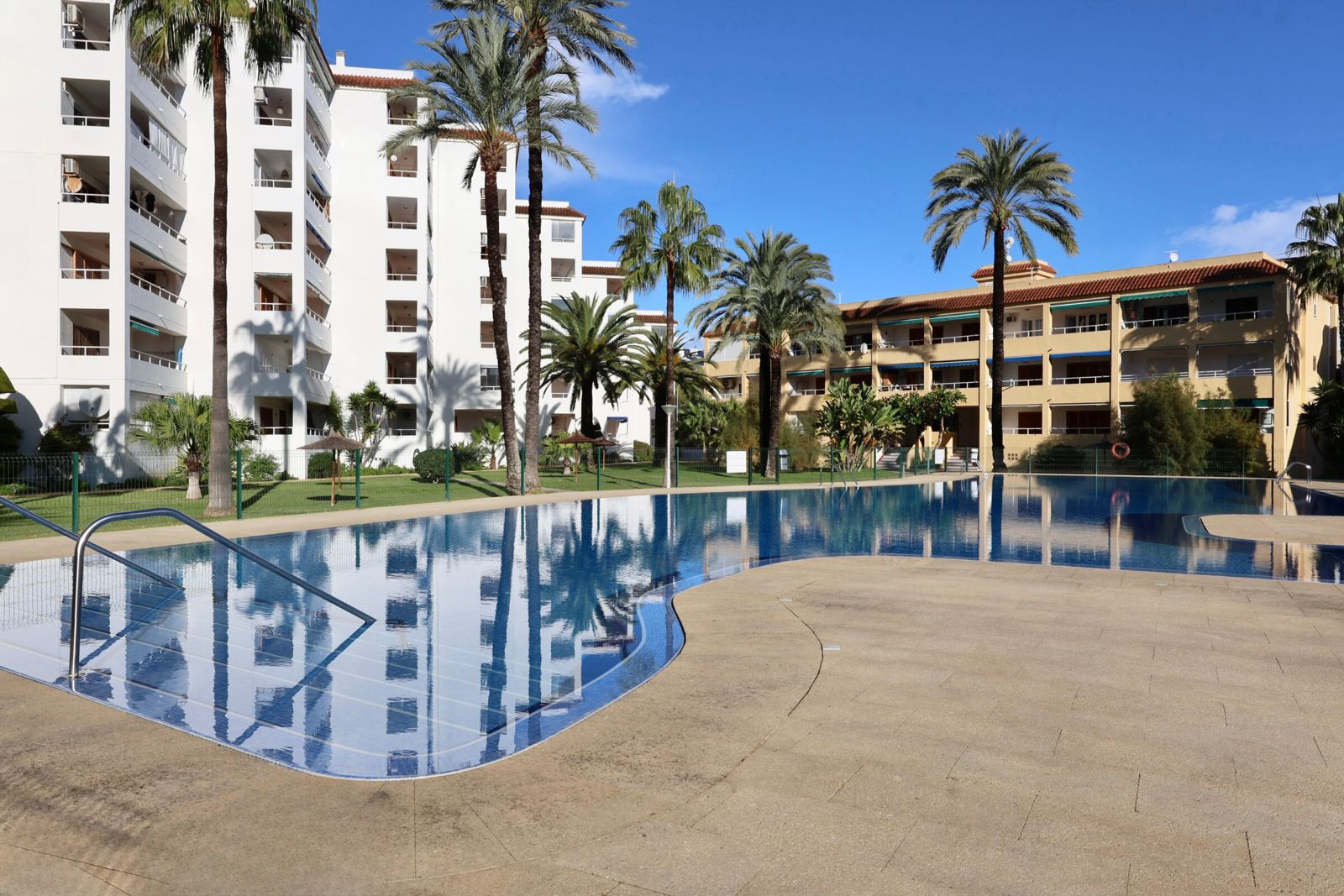 The large communal swimming pool features blue tiling and a light-colored paved surround, with stainless steel access rails. Palm trees and residential buildings are reflected in its clear water under a blue sky.