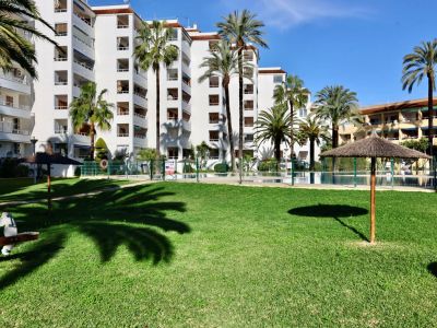 Lush communal garden with green lawn, mature palm trees, and straw parasols. Fenced swimming pool area and multi-story residential buildings with balconies in the background.