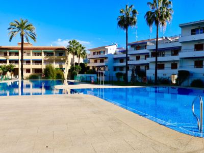 Spacious communal swimming pool with blue mosaic tiles, bordered by a light-tiled patio and palm trees. Apartment buildings with balconies and blue awnings are visible under a clear sky.