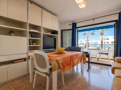 The bright living-dining area features a built-in media unit and a dining table, opening directly onto a terrace with palm tree views and distant white buildings.