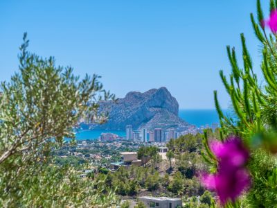 Panoramic view of Peñón de Ifach and Calpe's coastline, framed by Mediterranean foliage, showcasing modern villas on the hillside.