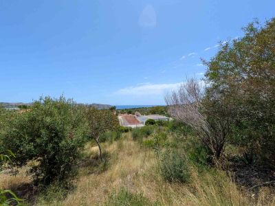 Expansive plot with natural vegetation and distant sea views under a clear blue sky. Residential roofs are visible in the mid-ground, framed by green and dry shrubs.