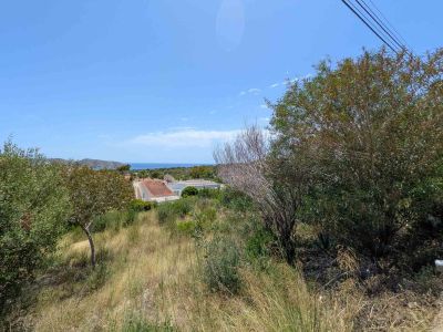 Natural plot with dry Mediterranean vegetation, featuring distant sea and mountain views under a clear blue sky. Gently sloping terrain.