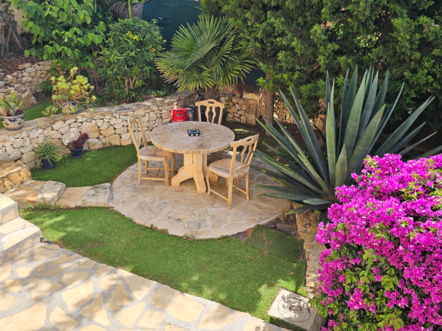 Villa garden