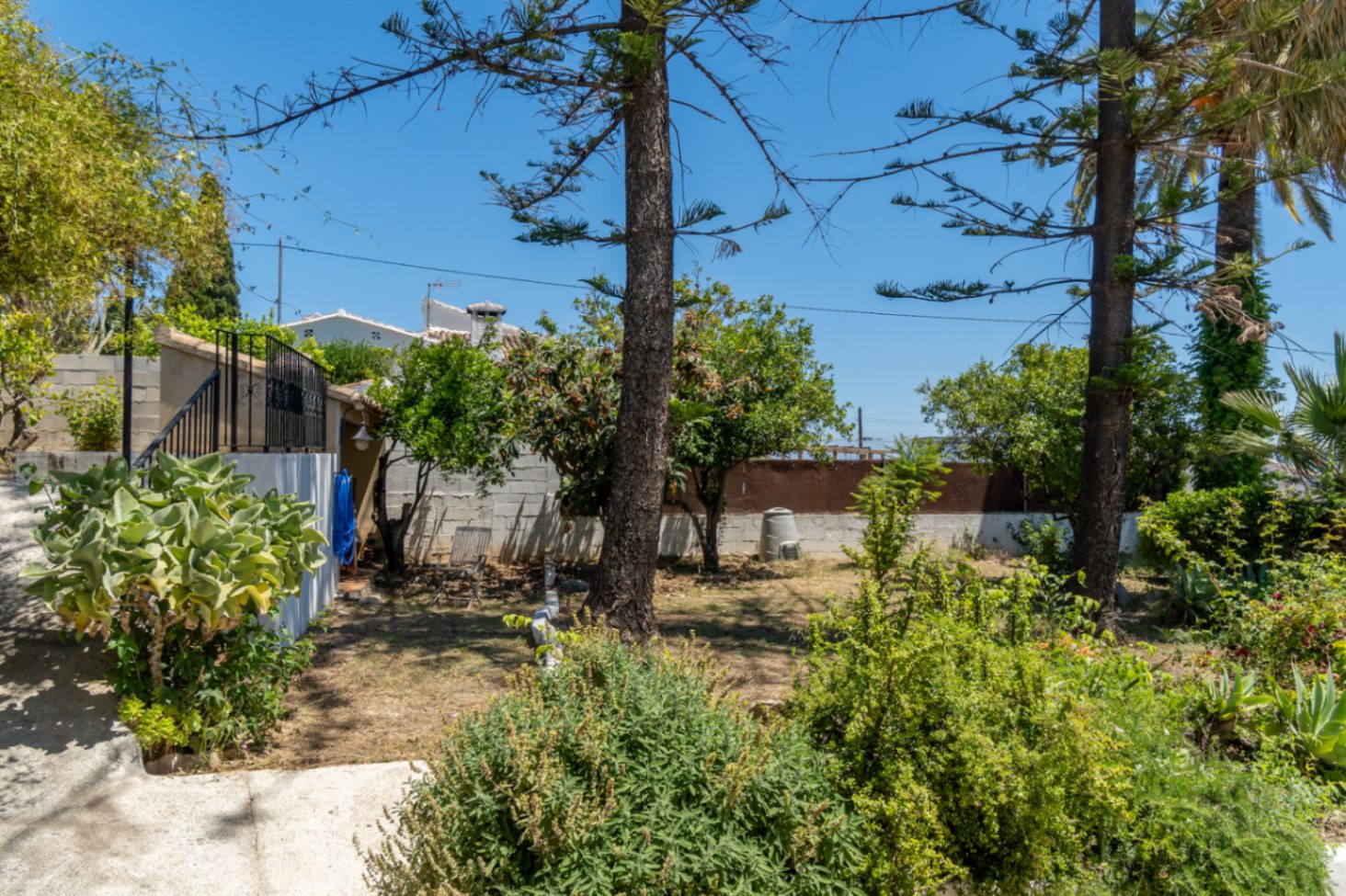 Garden area