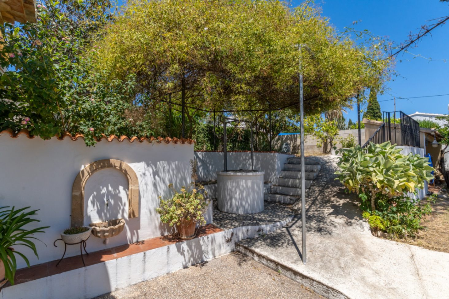 Garden and patio area