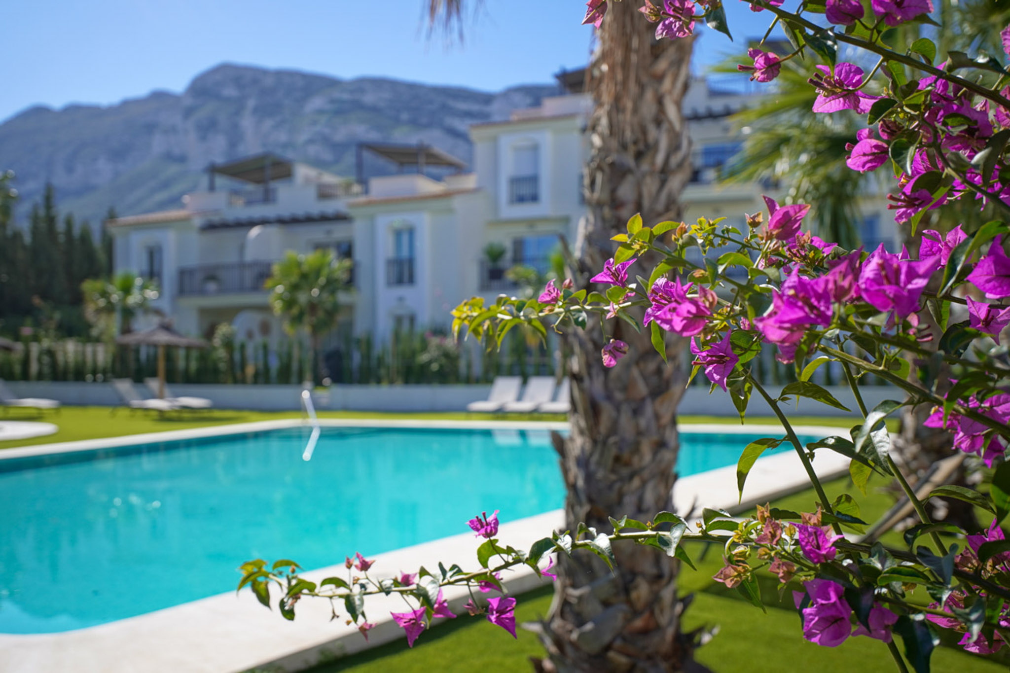 Communal pool and gardens