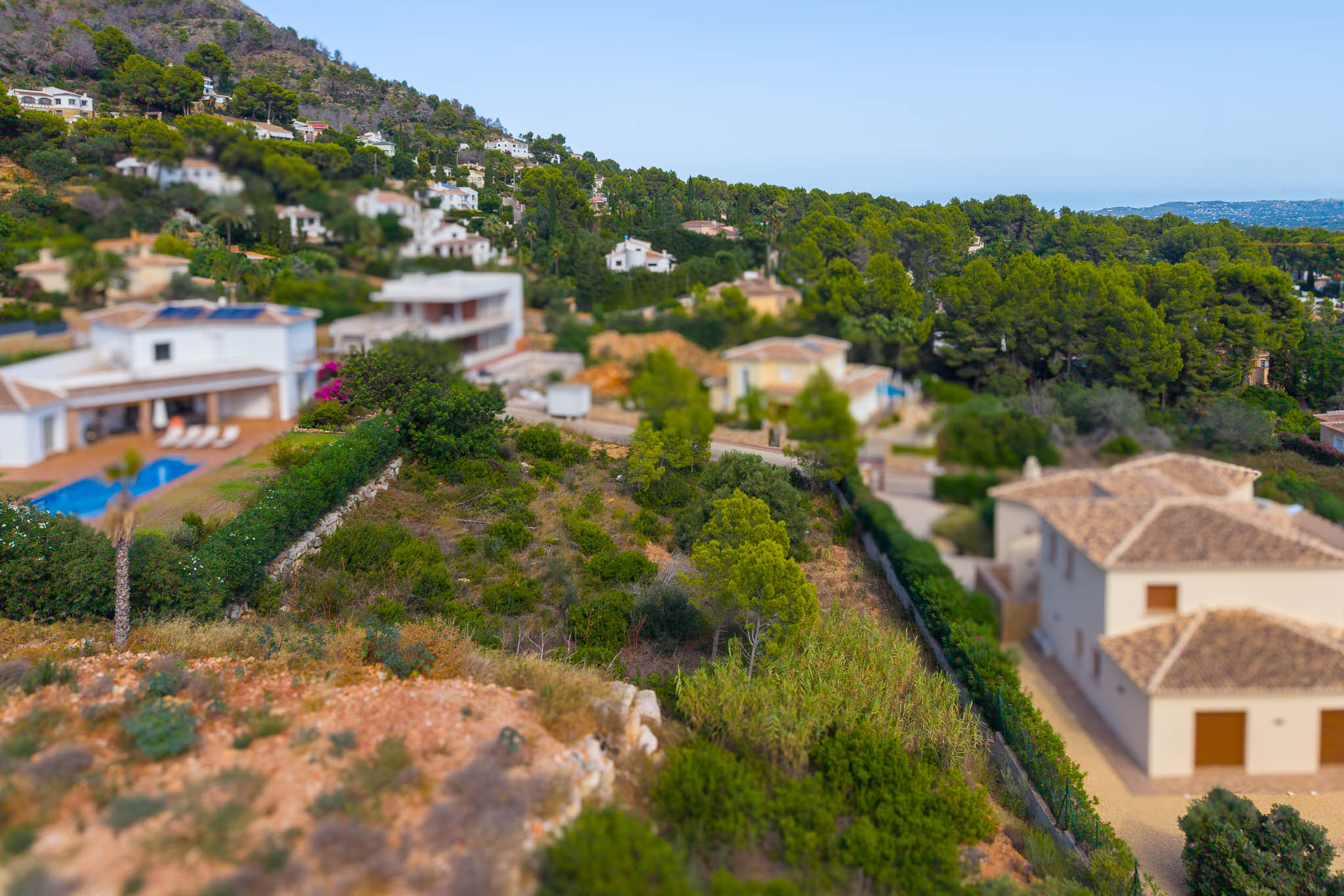Aerial view of the plot