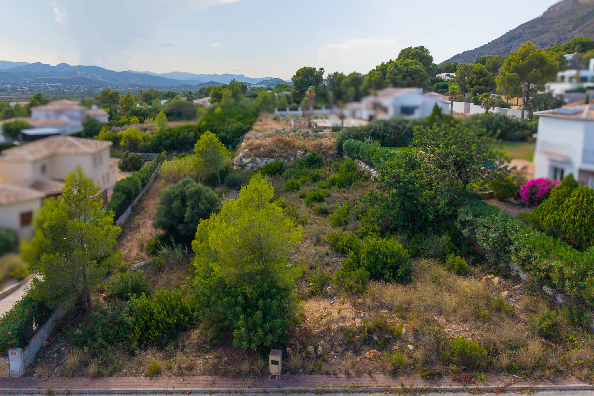 Aerial view of the plot